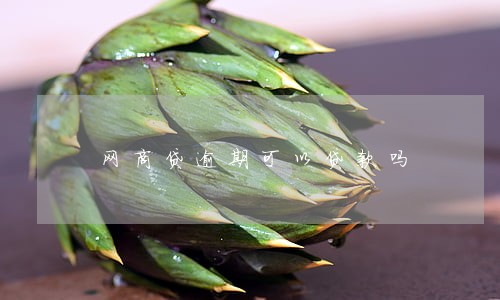 网商贷逾期可以贷款吗 网商贷逾期可以贷款吗
