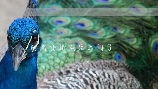 网商贷逾期后上门了 网商贷逾期后上门了