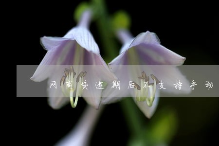 网商贷逾期后不支持手动还款 网商贷逾期后不支持手动还款
