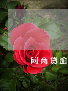 网商贷逾期后会上门调查吗 网商贷逾期后会上门调查吗