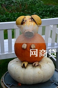 网商贷逾期后协商减免利息 网商贷逾期后协商减免利息