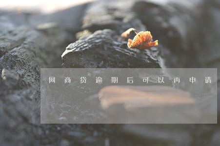 网商贷逾期后可以再申请分期吗 网商贷逾期后可以再申请分期吗