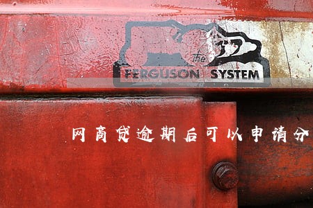 网商贷逾期后可以申请分期还款吗 网商贷逾期后可以申请分期还款吗