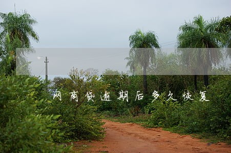 网商贷逾期后多久恢复 网商贷逾期后多久恢复