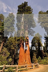 网商贷逾期后多久能解封