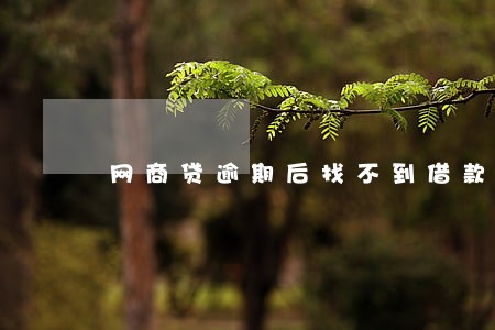网商贷逾期后找不到借款记录 网商贷逾期后找不到借款记录