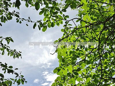 网商贷逾期后接到短信说外访 网商贷逾期后接到短信说外访