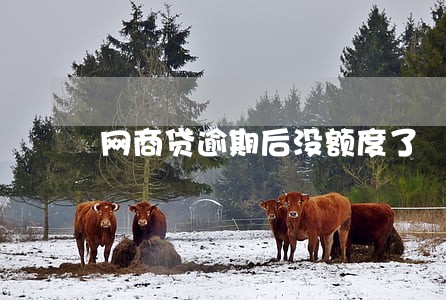 网商贷逾期后没额度了 网商贷逾期后没额度了