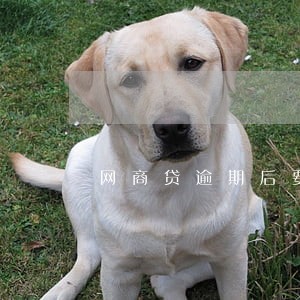 网商贷逾期后要一次还清吗 网商贷逾期后要一次还清吗