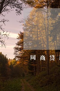网商贷逾期后讨债公司要上门 网商贷逾期后讨债公司要上门