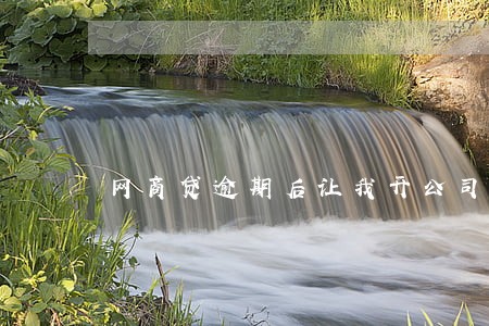 网商贷逾期后让我开公司证明 网商贷逾期后让我开公司证明
