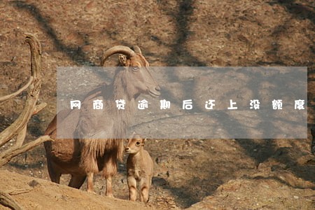 网商贷逾期后还上没额度 网商贷逾期后还上没额度