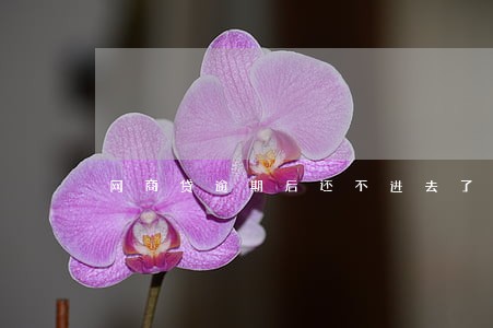 网商贷逾期后还不进去了 网商贷逾期后还不进去了