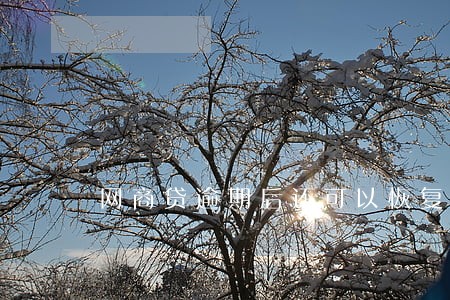 网商贷逾期后还可以恢复额度吗 网商贷逾期后还可以恢复额度吗