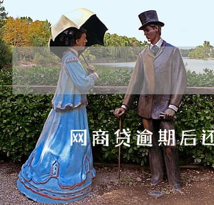 网商贷逾期后还款怎么还不了