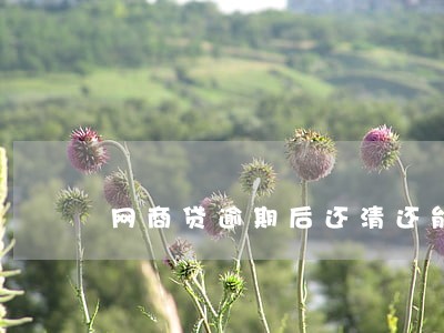 网商贷逾期后还清还能开吗 网商贷逾期后还清还能开吗