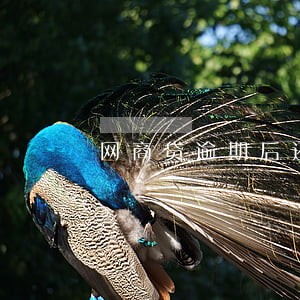 网商贷逾期后还清还能贷吗 网商贷逾期后还清还能贷吗
