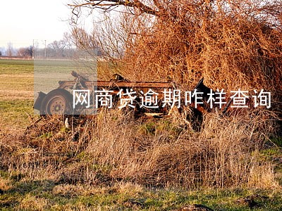 网商贷逾期咋样查询 网商贷逾期咋样查询