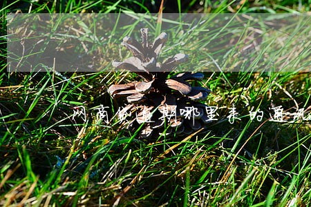 网商贷逾期哪里来的通讯录 网商贷逾期哪里来的通讯录