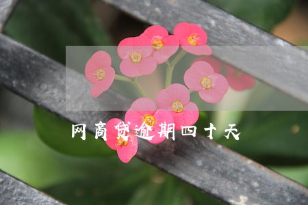 网商贷逾期四十天 网商贷逾期四十天