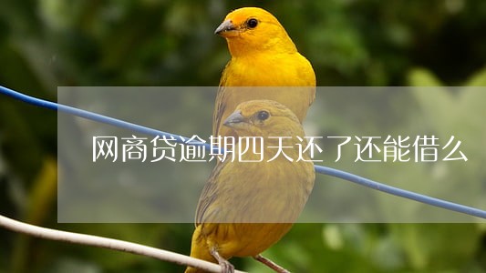 网商贷逾期四天还了还能借么 网商贷逾期四天还了还能借么