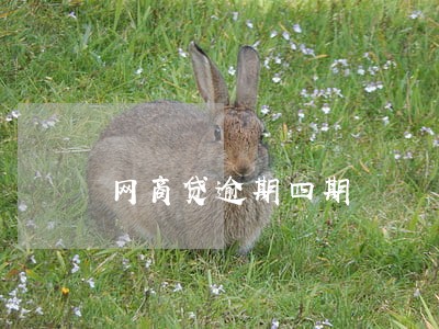 网商贷逾期四期 网商贷逾期四期