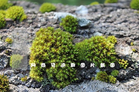 网商贷逾期图片截图