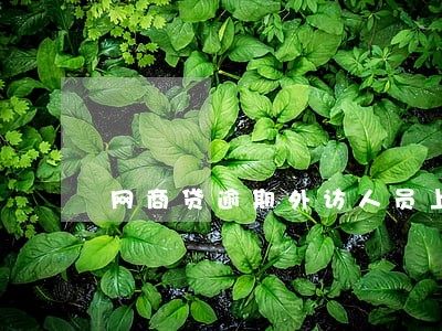 网商贷逾期外访人员上门