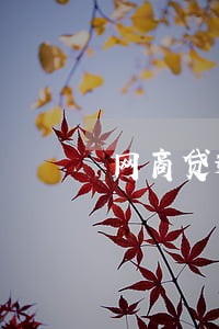 网商贷逾期多久会变成呆账 网商贷逾期多久会变成呆账