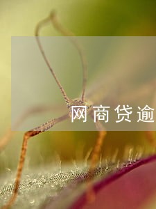 网商贷逾期多久全款 网商贷逾期多久全款