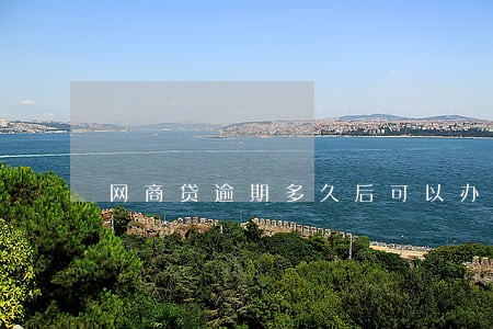 网商贷逾期多久后可以办信用卡 网商贷逾期多久后可以办信用卡