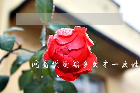 网商贷逾期多久才一次性还清 网商贷逾期多久才一次性还清