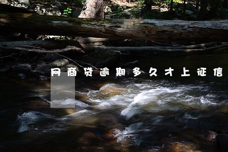 网商贷逾期多久才上征信 网商贷逾期多久才上征信
