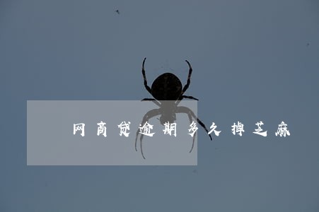 网商贷逾期多久掉芝麻 网商贷逾期多久掉芝麻