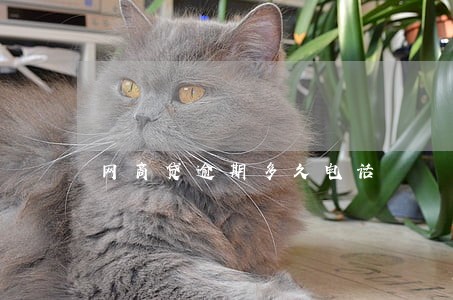 网商贷逾期多久电话 网商贷逾期多久电话