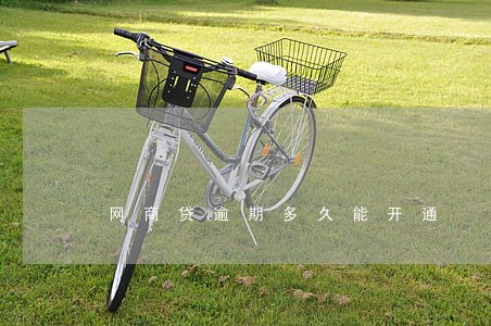 网商贷逾期多久能开通 网商贷逾期多久能开通