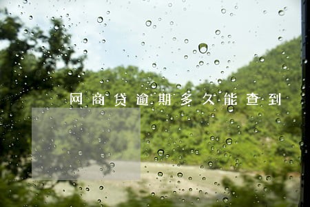 网商贷逾期多久能查到 网商贷逾期多久能查到