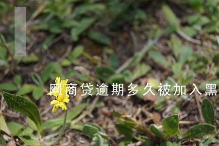 网商贷逾期多久被加入黑名单 网商贷逾期多久被加入黑名单