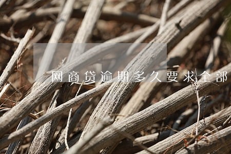 网商贷逾期多久要求全部还款 网商贷逾期多久要求全部还款