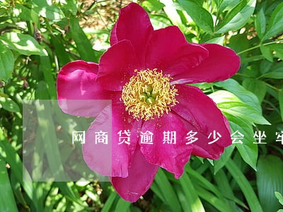 网商贷逾期多少会坐牢 网商贷逾期多少会坐牢
