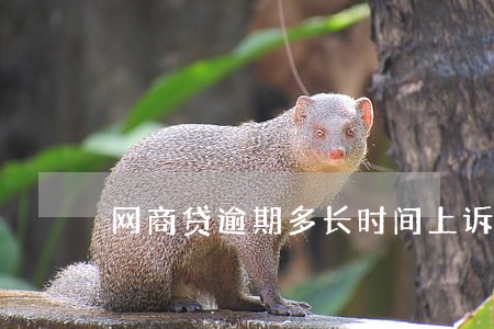 网商贷逾期多长时间上诉