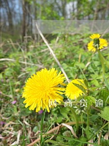 网商贷逾期多长时间起诉 网商贷逾期多长时间起诉