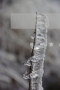 网商贷逾期失联了 网商贷逾期失联了