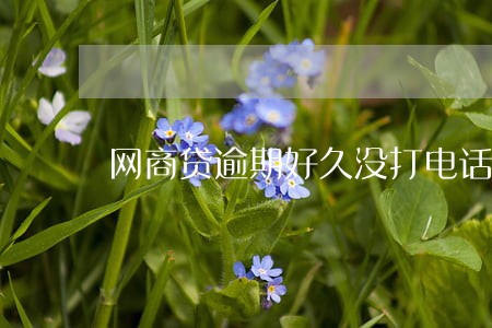 网商贷逾期好久没打电话 网商贷逾期好久没打电话