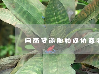 网商贷逾期如何协商减免 网商贷逾期如何协商减免