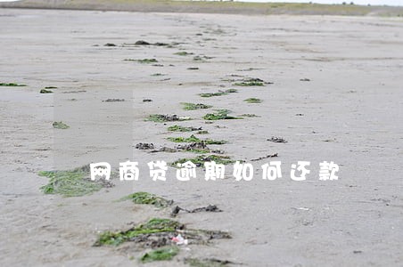 网商贷逾期如何还款 网商贷逾期如何还款
