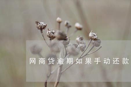 网商贷逾期如果手动还款 网商贷逾期如果手动还款