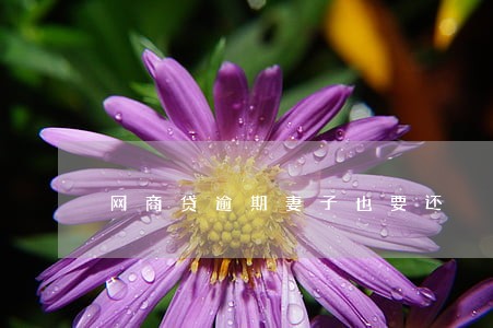 网商贷逾期妻子也要还