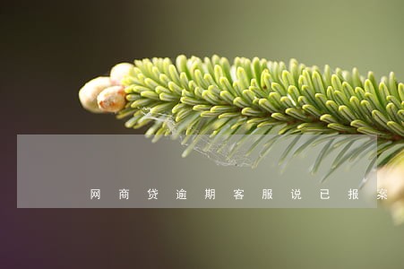 网商贷逾期客服说已报案 网商贷逾期客服说已报案
