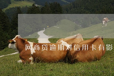 网商贷逾期对信用卡有影响吗 网商贷逾期对信用卡有影响吗